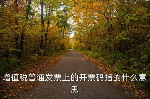 什么是發(fā)票信息碼，增值稅普通發(fā)票上的開票碼指的什么意思