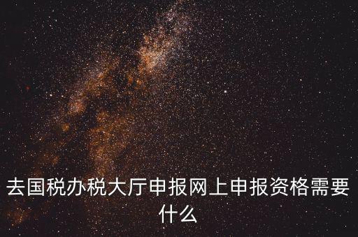 國稅網(wǎng)上申報(bào)用什么，去國稅辦稅大廳申報(bào)網(wǎng)上申報(bào)資格需要什么