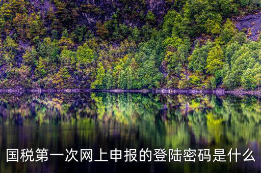國稅第一次網(wǎng)上申報(bào)的登陸密碼是什么