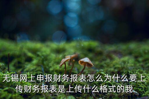為什么要上傳報(bào)表，無錫網(wǎng)上申報(bào)財(cái)務(wù)報(bào)表怎么為什么要上傳財(cái)務(wù)報(bào)表是上傳什么格式