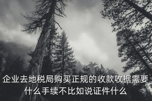 企業(yè)去地稅局購買正規(guī)的收款收據需要什么手續(xù)不比如說證件什么