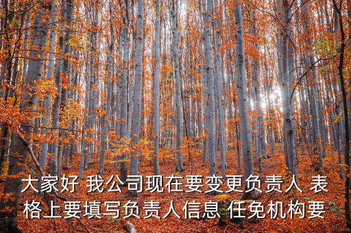 大家好 我公司現在要變更負責人 表格上要填寫負責人信息 任免機構要