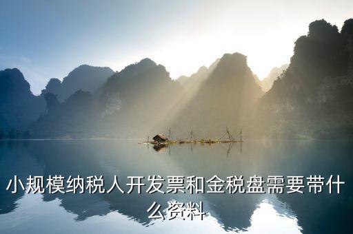 小規(guī)模納稅人開(kāi)發(fā)票和金稅盤需要帶什么資料