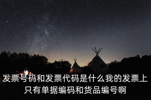 發(fā)票號碼和發(fā)票代碼是什么我的發(fā)票上只有單據編碼和貨品編號啊