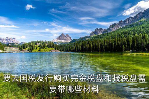 購(gòu)買(mǎi)金稅盤(pán)要帶什么，購(gòu)買(mǎi)增值稅發(fā)票系統(tǒng)金稅盤(pán)需帶什么資料