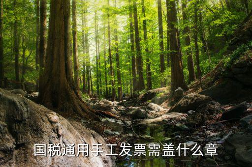 手工發(fā)票需注意什么，關(guān)于手工發(fā)票填開的問題