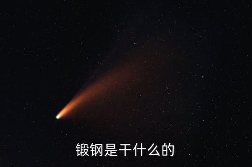 弘遠(yuǎn)泰斯是干什么的，飛踏是干什么的