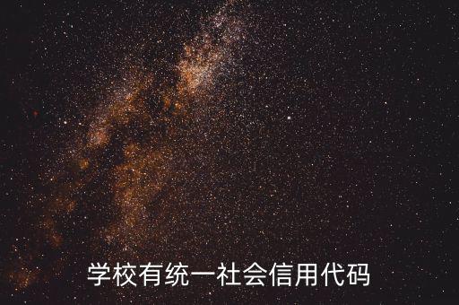 社會識別代碼是什么問題，社會信用代碼是不是納稅人識別號