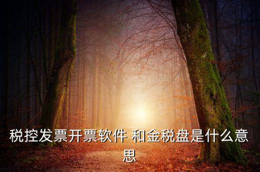 稅控發(fā)票開(kāi)票軟件 和金稅盤是什么意思