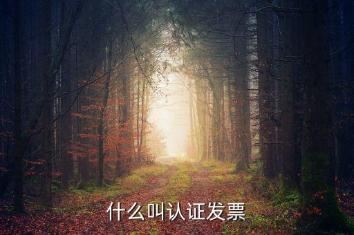 什么叫認(rèn)證發(fā)票，什么叫認(rèn)證增值稅發(fā)票如何認(rèn)證好像還有手工認(rèn)證是怎么回事啊