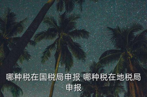 國(guó)稅局可以申報(bào)什么稅，在國(guó)稅申報(bào)的稅種有哪些稅率是多少
