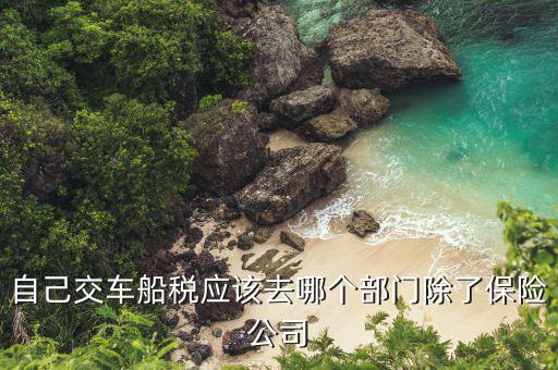代開車船稅要用什么公司，哪些銀行代收車船使用稅