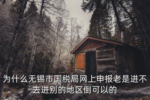 無錫網(wǎng)上辦稅服務(wù)廳為什么進不去，為什么我登錄不上網(wǎng)上辦稅服務(wù)廳啊