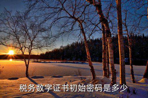金稅盤(pán)ca密碼是什么，稅務(wù)密鑰是什么東西是數(shù)字證書(shū)嗎