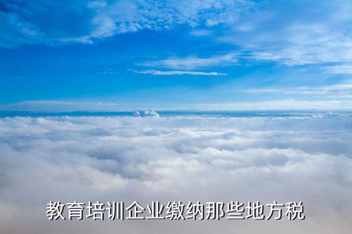 培訓(xùn)機(jī)構(gòu)應(yīng)交什么稅，民辦非企業(yè)培訓(xùn)類學(xué)校應(yīng)交什么稅 請教指點(diǎn)