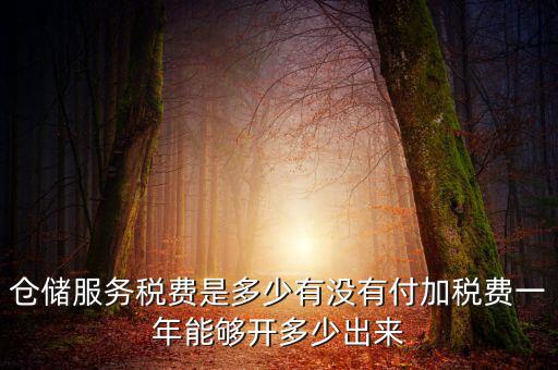 倉(cāng)儲(chǔ)服務(wù)稅費(fèi)是多少有沒(méi)有付加稅費(fèi)一年能夠開多少出來(lái)