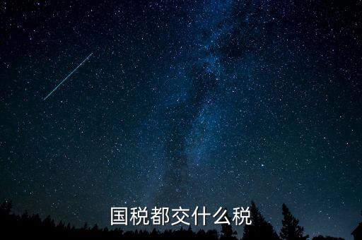 國(guó)稅五項(xiàng)稅種都是什么，國(guó)稅包括哪些稅種
