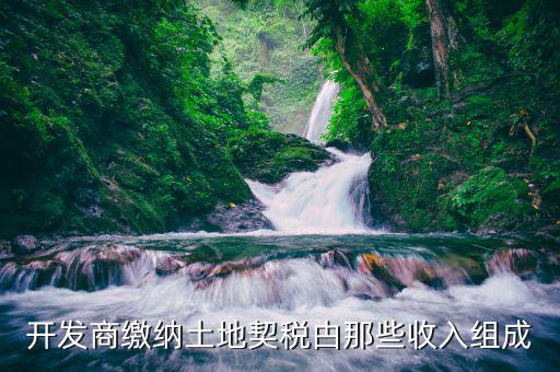 契稅中的土地開發(fā)包括什么，開發(fā)商繳納土地契稅甴那些收入組成
