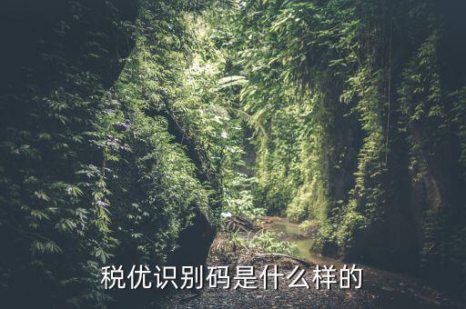 稅優(yōu)碼是什么，稅務管理碼是什么
