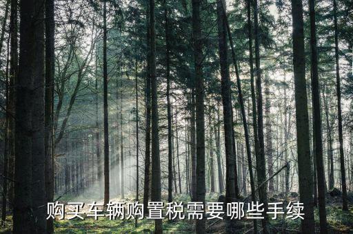 車購(gòu)置稅證明什么手續(xù)，購(gòu)買車輛購(gòu)置稅需要哪些手續(xù)