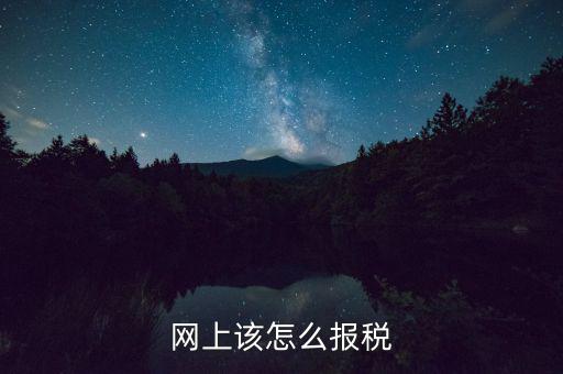 網上該怎么報稅