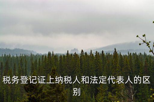 納稅人法定人是什么意思，稅務(wù)登記證上納稅人和法定代表人的區(qū)別