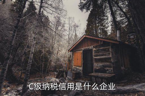 C級納稅信用是什么企業(yè)