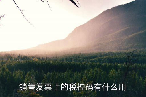 發(fā)票稅控碼是什么，國(guó)稅發(fā)票稅控碼