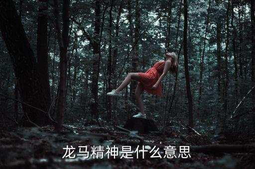 湖北國稅精神是什么意思，神志不清精神不能集中是什么詞的意思