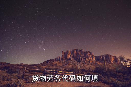 貨物勞務代碼是什么，貨物勞務代碼如何填