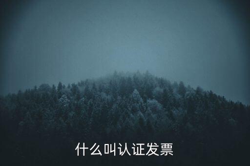 什么是認(rèn)證發(fā)票，什么叫認(rèn)證發(fā)票
