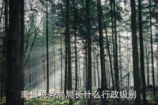 稅務(wù)局局長(zhǎng)是什么級(jí)別，金河鎮(zhèn)稅務(wù)務(wù)局局長(zhǎng)是什么級(jí)別