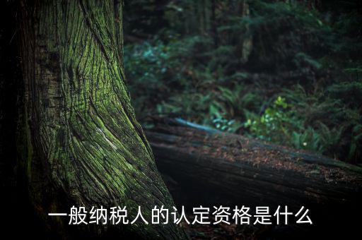 一般納稅人資格證是什么，請問一般納稅人應(yīng)有什么證