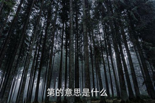 第稽什么意思，第是什么意思