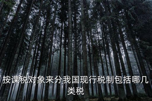 什么是現(xiàn)行稅收制度，說(shuō)明中國(guó)現(xiàn)行稅制增值稅的具體稅制要素有哪些