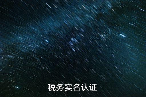稅務(wù)實(shí)名登記需要什么，稅務(wù)實(shí)名認(rèn)證