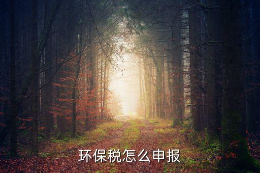 環(huán)境保護(hù)稅按什么申報(bào)，環(huán)保稅怎么申報(bào)