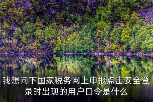 我想問下國(guó)家稅務(wù)網(wǎng)上申報(bào)點(diǎn)擊安全登錄時(shí)出現(xiàn)的用戶口令是什么