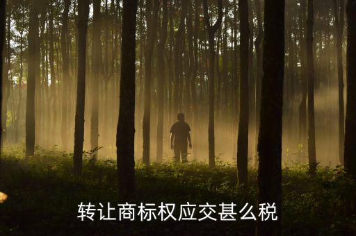 轉(zhuǎn)讓商標權應交甚么稅