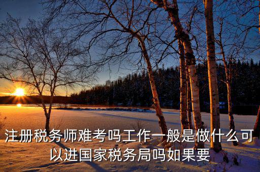 稅務(wù)師是什么，注冊稅務(wù)師能干什么待遇怎么樣