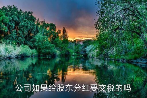企業(yè)分紅要交什么稅，公司如果給股東分紅要交稅的嗎