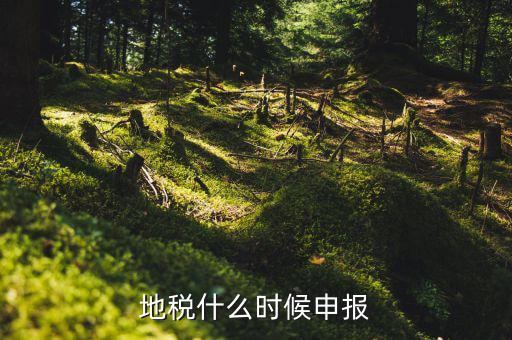地稅上面基金申報是指什么時候，地稅什么時候申報