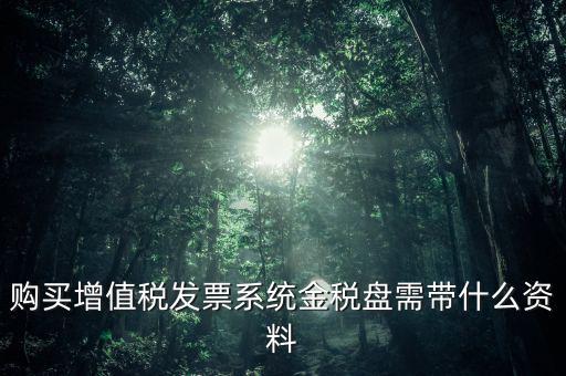 購買金稅盤要什么資料，購買增值稅發(fā)票系統(tǒng)金稅盤需帶什么資料