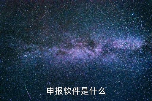 國稅申報軟件叫什么，申報軟件是什么