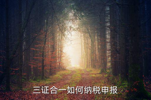 三證合一用什么報(bào)稅，三證合一如何納稅申報(bào)