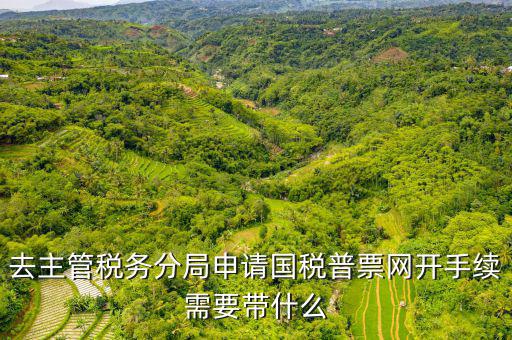 去主管稅務(wù)分局申請(qǐng)國(guó)稅普票網(wǎng)開(kāi)手續(xù)需要帶什么