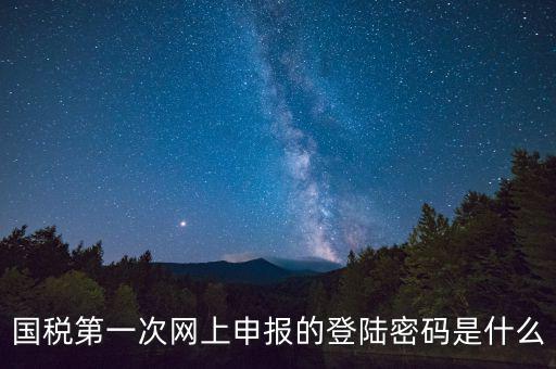 國稅登錄賬號密碼是什么意思，國稅第一次網(wǎng)上申報的登陸密碼是什么