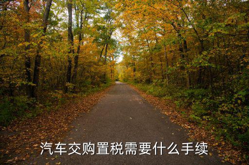 汽車購置稅要什么手續(xù)，購買車輛購置稅需要哪些手續(xù)