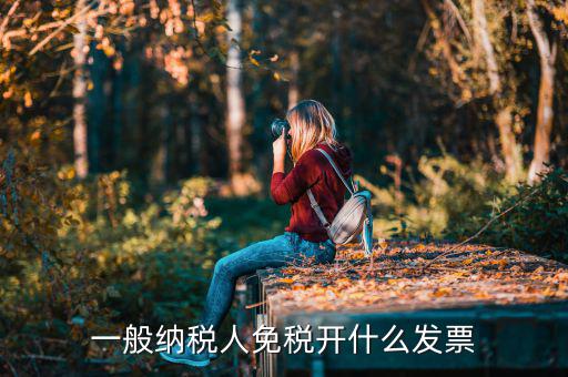 一般納稅人領(lǐng)什么票，一般納稅人免稅開什么發(fā)票