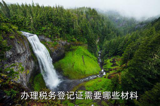 稅務(wù)登記什么資料，辦理稅務(wù)登記要交哪些材料